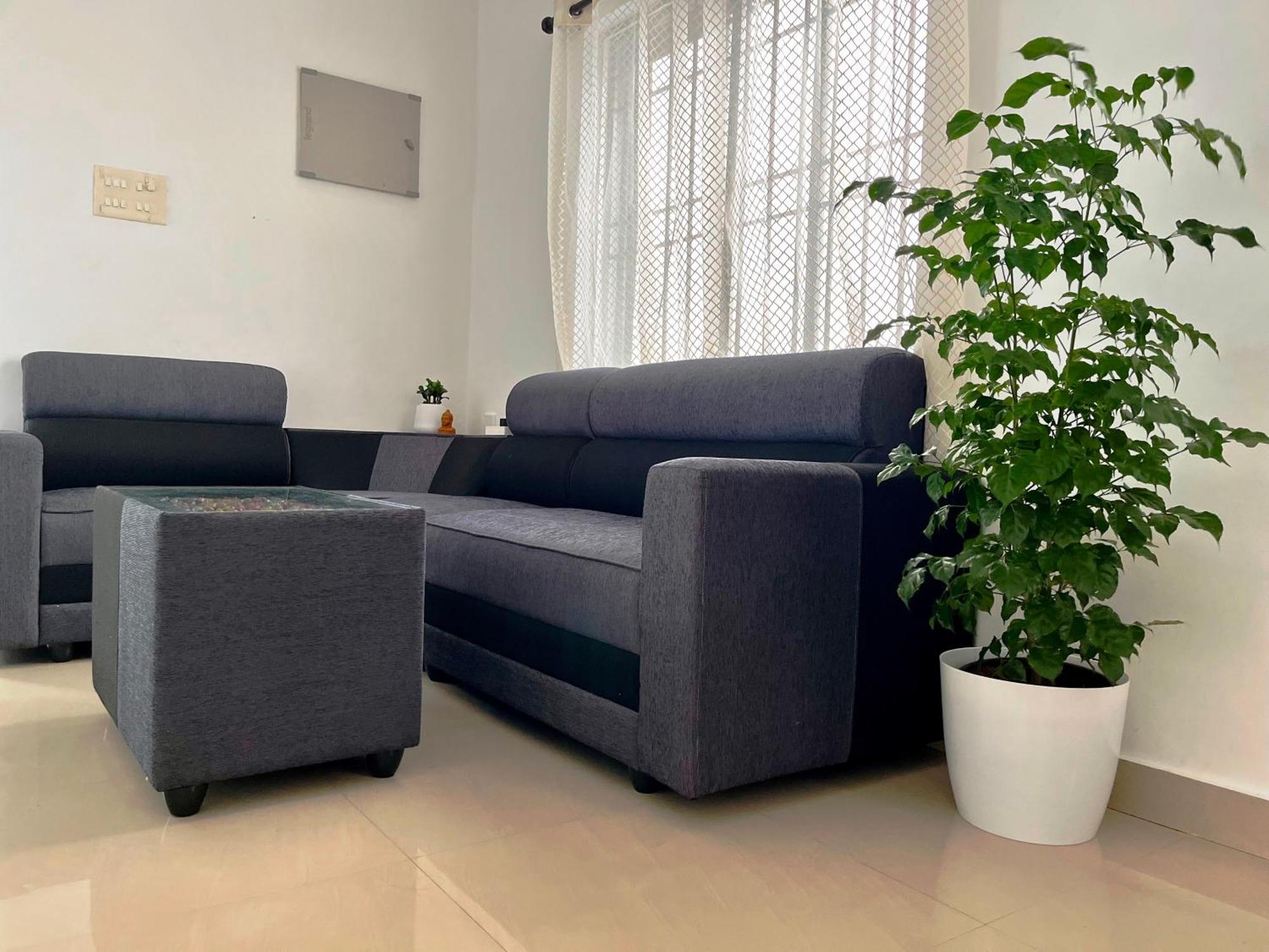 Segundo Home Kochi Eksteriør billede